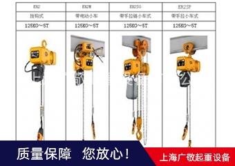 厂家直销保用一年 环链91香蕉视频APP官方下载 250公斤 300公斤 500公斤 1吨